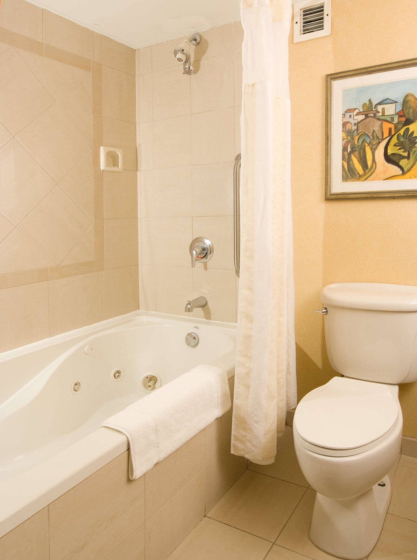 Hilton Garden Inn Atlanta Airport Millenium Center jacuzzi suite best near airport