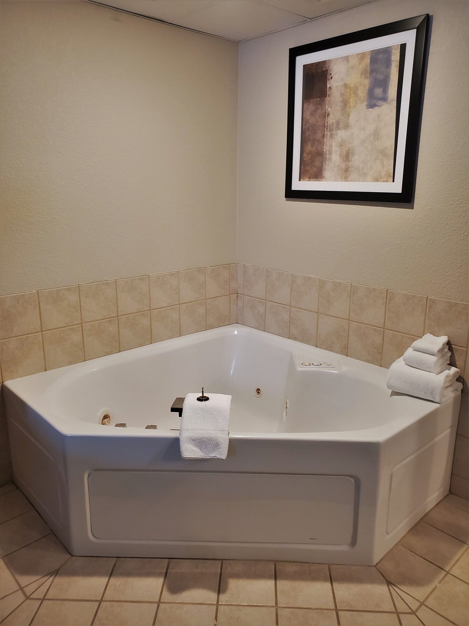Cobblestone Suites Oshkosh jacuzzi suite best near eaa aviation museum