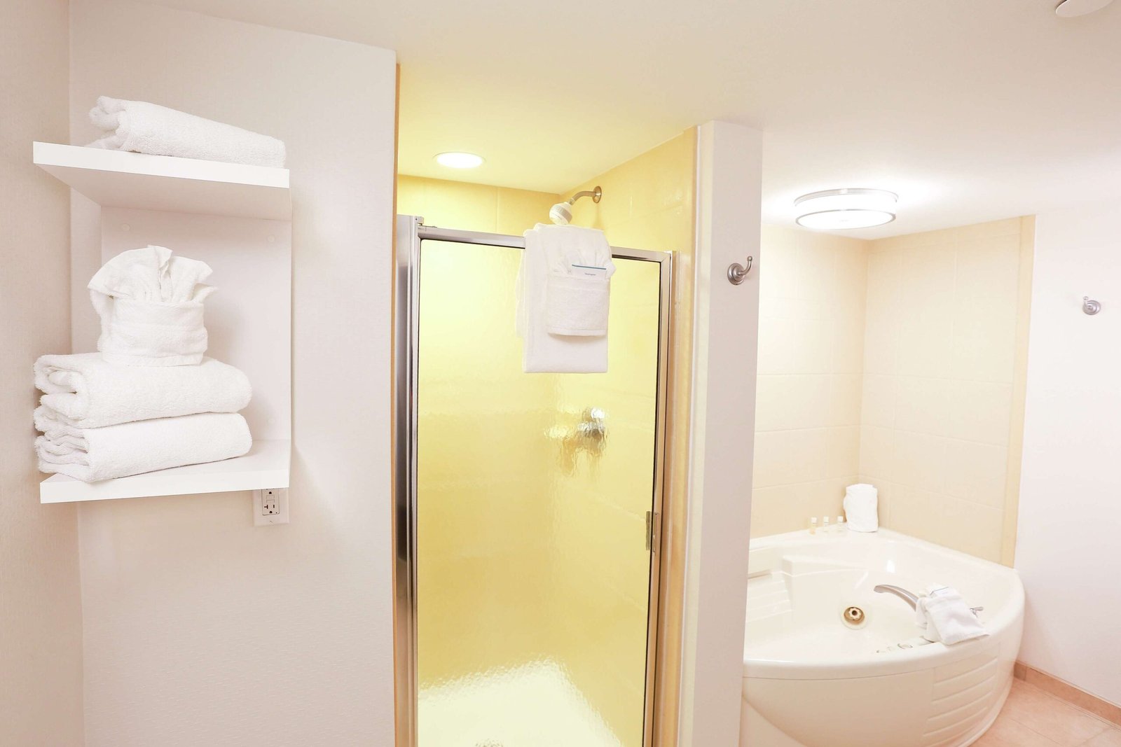 Hampton Inn & Suites Tampa-Wesley Chapel jacuzzi suite best value